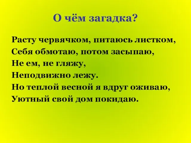 О чём загадка? Расту червячком, питаюсь листком, Себя обмотаю, потом засыпаю, Не