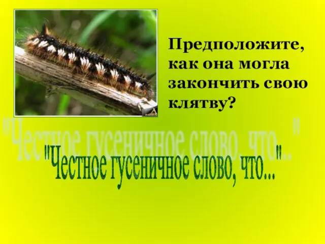 "Честное гусеничное слово, что..." Предположите, как она могла закончить свою клятву?