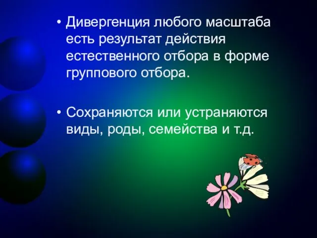 Дивергенция любого масштаба есть результат действия естественного отбора в форме группового отбора.