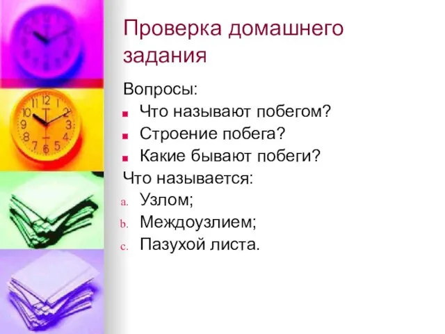 Проверка домашнего задания Вопросы: Что называют побегом? Строение побега? Какие бывают побеги?