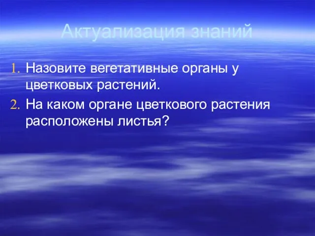 Актуализация знаний Назовите вегетативные органы у цветковых растений. На каком органе цветкового растения расположены листья?