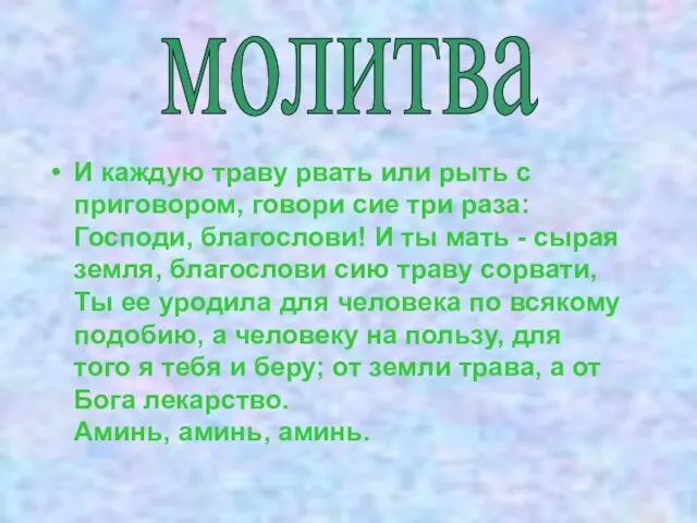 И каждую траву рвать или рыть с приговором, говори сие три раза: