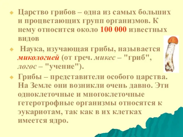 Царство грибов – одна из самых больших и процветающих групп организмов. К