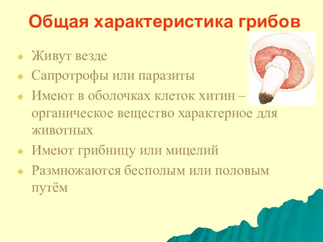 Общая характеристика грибов Живут везде Сапротрофы или паразиты Имеют в оболочках клеток