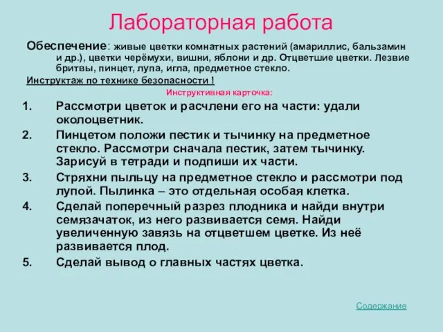 Лабораторная работа Обеспечение: живые цветки комнатных растений (амариллис, бальзамин и др.), цветки