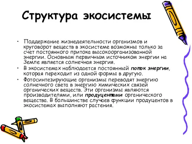 Структура экосистемы Поддержание жизнедеятельности организмов и круговорот веществ в экосистеме возможны только