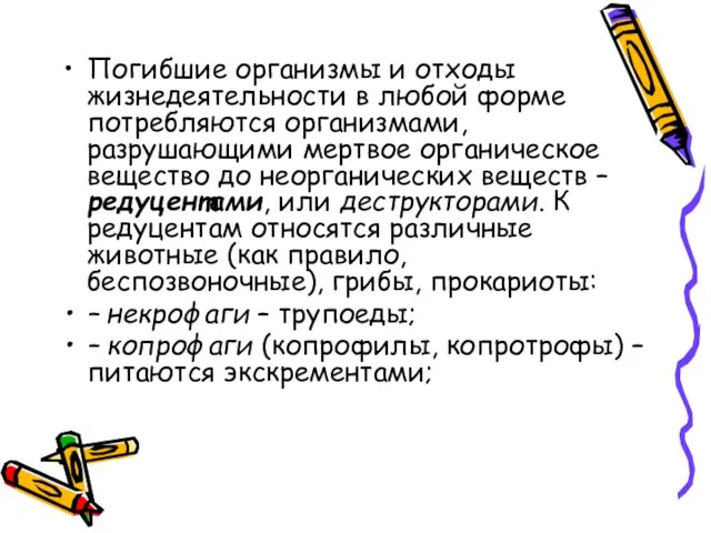 Погибшие организмы и отходы жизнедеятельности в любой форме потребляются организмами, разрушающими мертвое