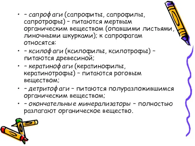 – сапрофаги (сапрофиты, сапрофилы, сапротрофы) – питаются мертвым органическим веществом (опавшими листьями,