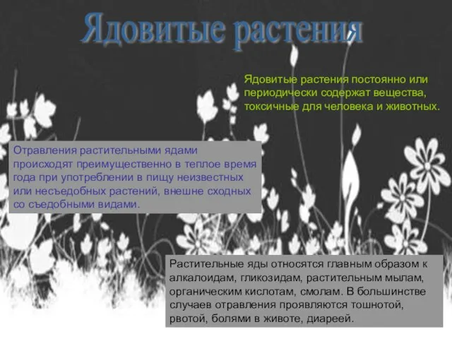 Ядовитые растения Ядовитые растения постоянно или периодически содержат вещества, токсичные для человека