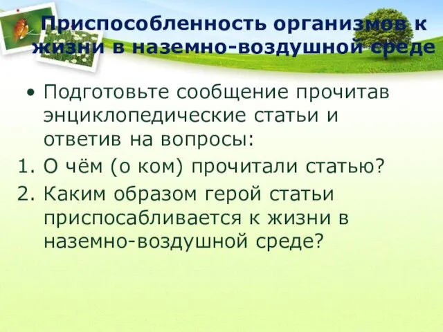 Приспособленность организмов к жизни в наземно-воздушной среде Подготовьте сообщение прочитав энциклопедические статьи