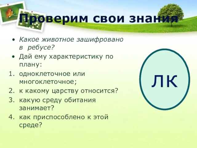 Проверим свои знания Какое животное зашифровано в ребусе? Дай ему характеристику по