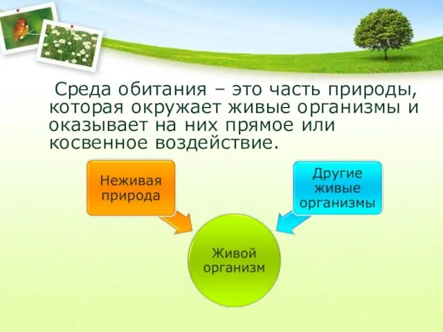 Среда обитания – это часть природы, которая окружает живые организмы и оказывает