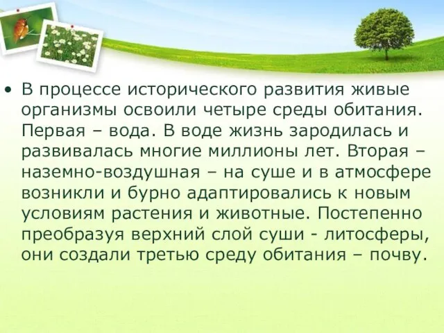 В процессе исторического развития живые организмы освоили четыре среды обитания. Первая –