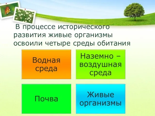 В процессе исторического развития живые организмы освоили четыре среды обитания