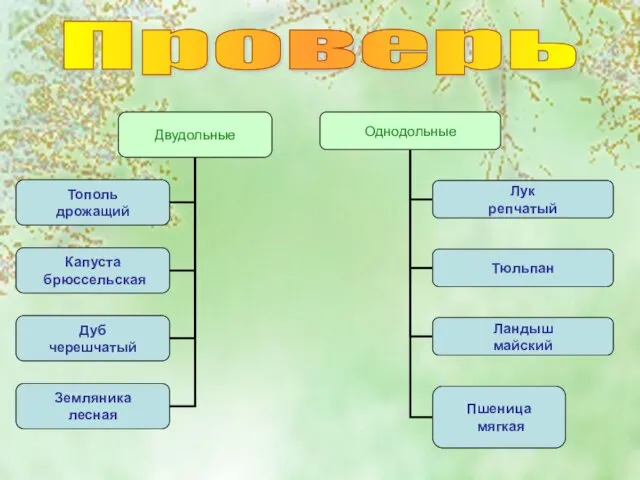 Проверь