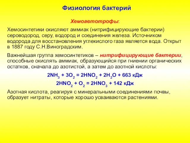 Физиология бактерий Хемоавтотрофы: Хемосинтетики окисляют аммиак (нитрифицирующие бактерии) сероводород, серу, водород и