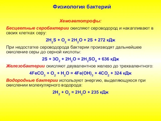 Физиология бактерий Хемоавтотрофы: Бесцветные серобактерии окисляют сероводород и накапливают в своих клетках