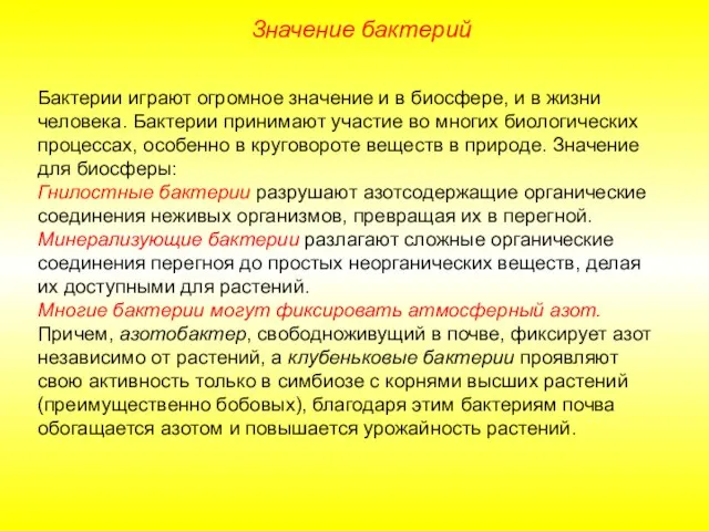 Значение бактерий Бактерии играют огромное значение и в биосфере, и в жизни