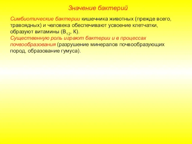 Значение бактерий Симбиотические бактерии кишечника животных (прежде всего, травоядных) и человека обеспечивают