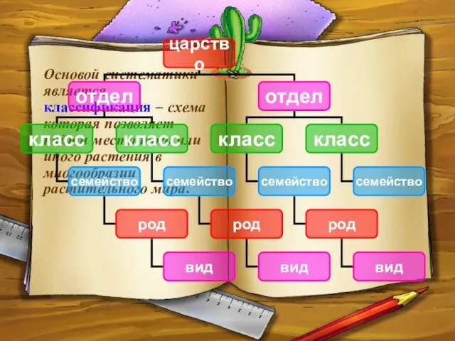 Основой систематики является классификация – схема которая позволяет найти место того или