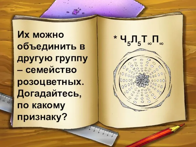 Их можно объединить в другую группу – семейство розоцветных. Догадайтесь, по какому признаку? * Ч5Л5Т∞П∞