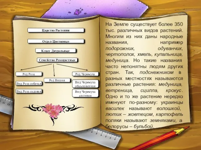 На Земле существует более 350 тыс. различных видов растений. Многим из них