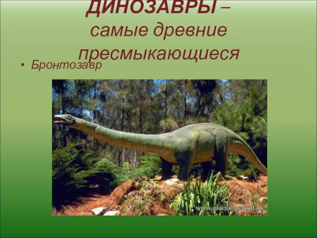 ДИНОЗАВРЫ – самые древние пресмыкающиеся Бронтозавр