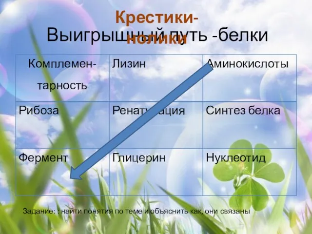 Выигрышный путь -белки Задание: : найти понятия по теме и объяснить как, они связаны Крестики-нолики