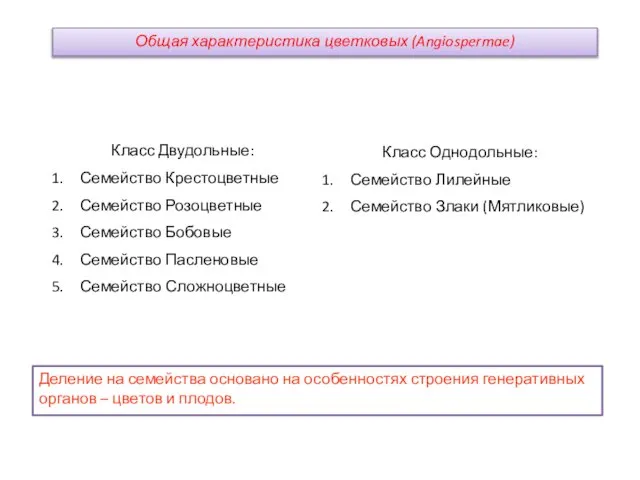 Класс Двудольные: Семейство Крестоцветные Семейство Розоцветные Семейство Бобовые Семейство Пасленовые Семейство Сложноцветные