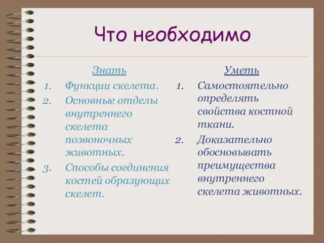 Что необходимо Знать Функции скелета. Основные отделы внутреннего скелета позвоночных животных. Способы