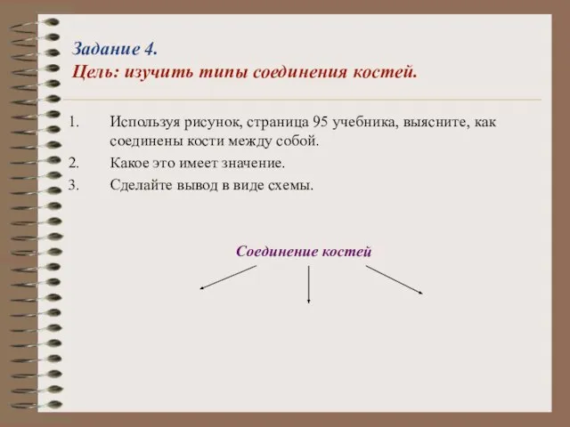 Задание 4. Цель: изучить типы соединения костей. Используя рисунок, страница 95 учебника,