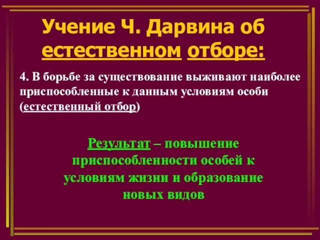 Учение Ч. Дарвина об естественном отборе: 4. В борьбе за существование выживают