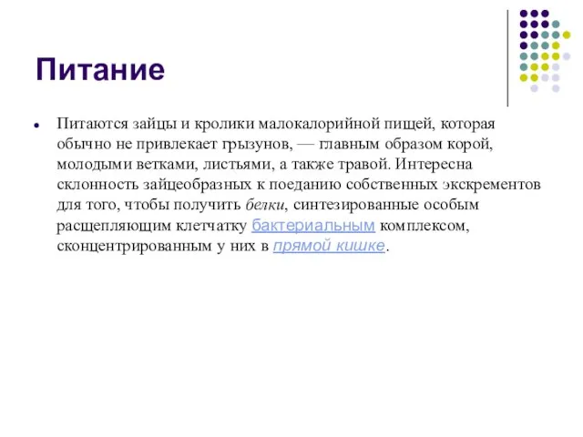 Питание Питаются зайцы и кролики малокалорийной пищей, которая обычно не привлекает грызунов,