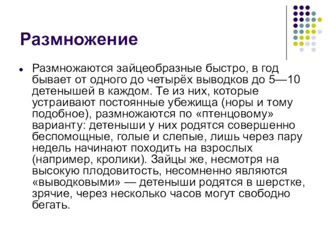 Размножение Размножаются зайцеобразные быстро, в год бывает от одного до четырёх выводков