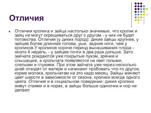 Отличия Отличия кролика и зайца настолько значимые, что кролик и заяц не