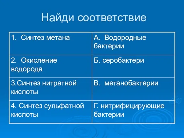 Найди соответствие