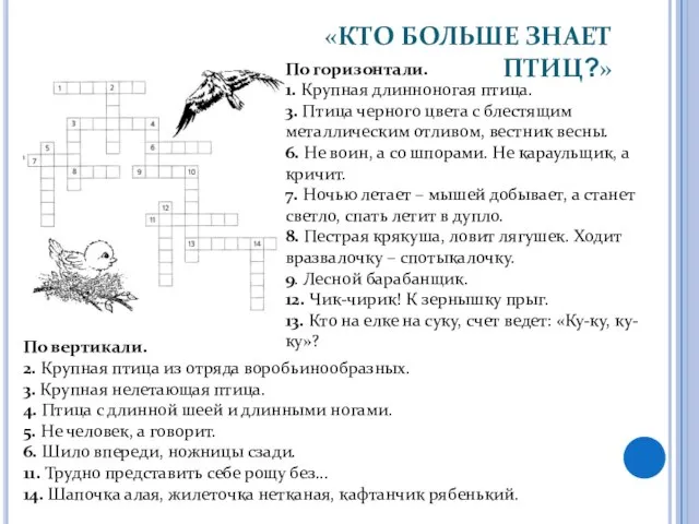 «КТО БОЛЬШЕ ЗНАЕТ ПТИЦ?» По горизонтали. 1. Крупная длинноногая птица. 3. Птица