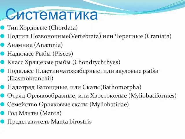 Систематика Тип Хордовые (Chordata) Подтип Позвоночные(Vertebrata) или Черепные (Craniata) Анамниа (Anamnia) Надкласс