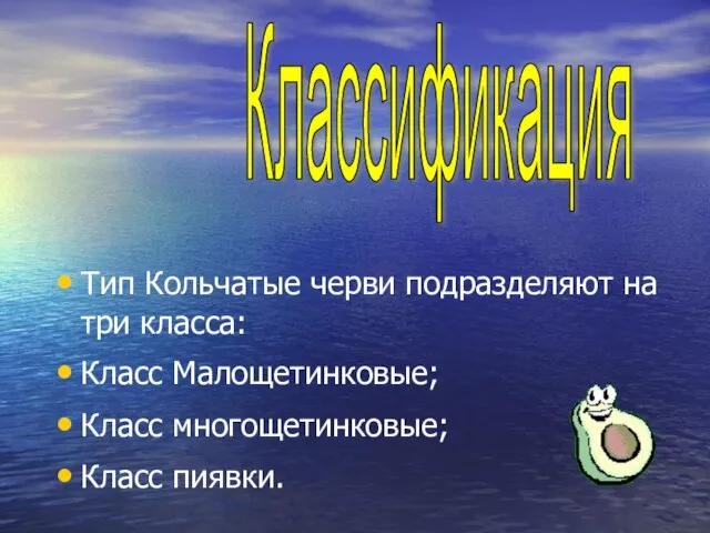 Тип Кольчатые черви подразделяют на три класса: Класс Малощетинковые; Класс многощетинковые; Класс пиявки. Классификация