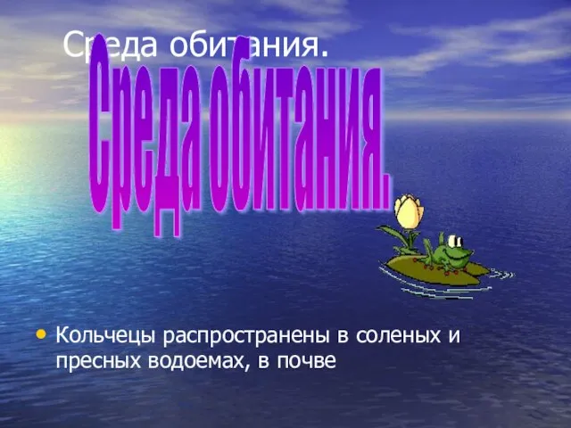 Среда обитания. Кольчецы распространены в соленых и пресных водоемах, в почве Среда обитания.