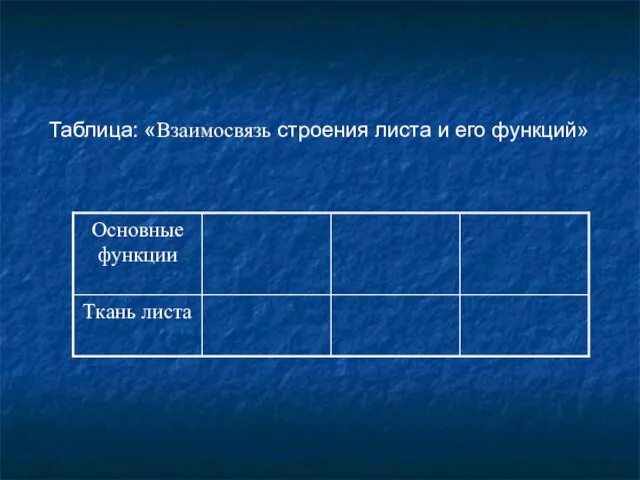 Таблица: «Взаимосвязь строения листа и его функций»