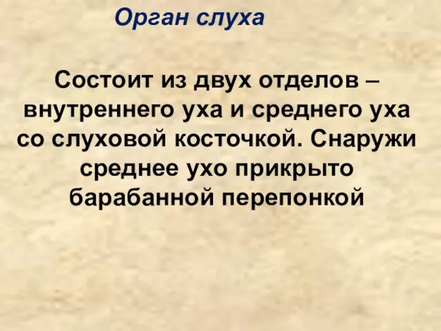 Орган слуха Состоит из двух отделов – внутреннего уха и среднего уха