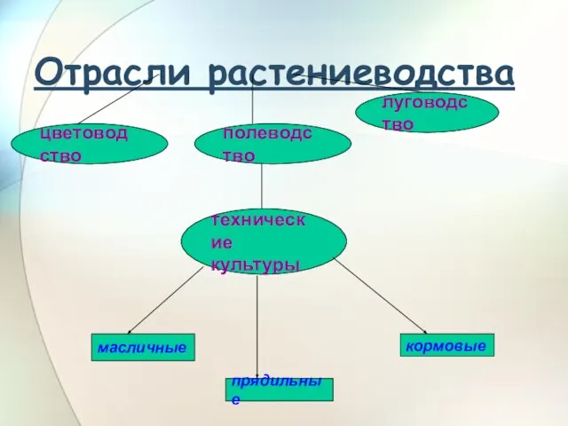 Отрасли растениеводства цветоводство полеводство луговодство технические культуры масличные кормовые прядильные