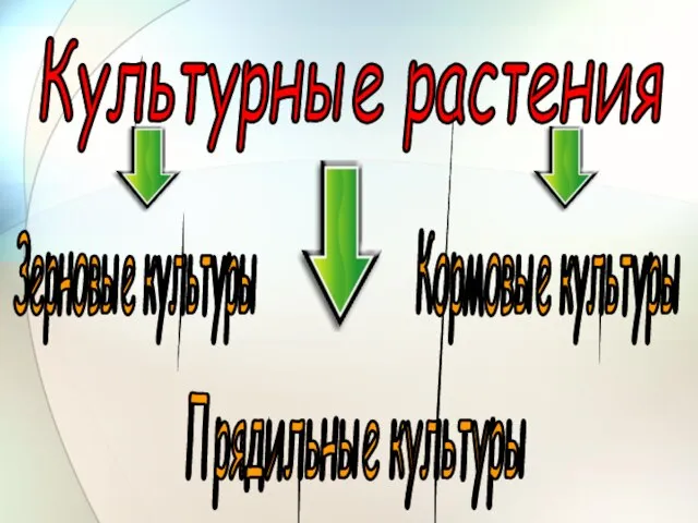 Культурные растения Зерновые культуры Кормовые культуры Прядильные культуры