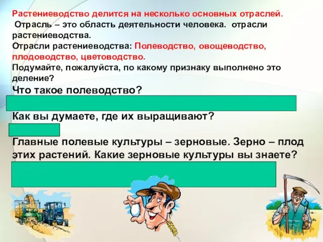 Растениеводство делится на несколько основных отраслей. Отрасль – это область деятельности человека.