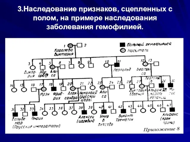 3.Наследование признаков, сцепленных с полом, на примере наследования заболевания гемофилией.