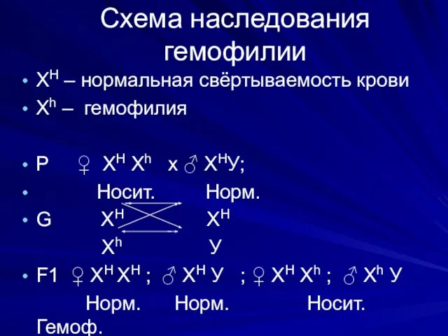 Схема наследования гемофилии ХH – нормальная свёртываемость крови Хh – гемофилия Р