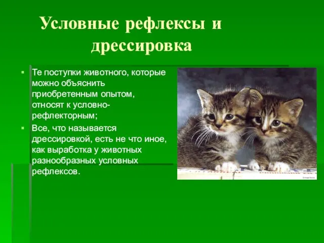 Условные рефлексы и дрессировка Те поступки животного, которые можно объяснить приобретенным опытом,