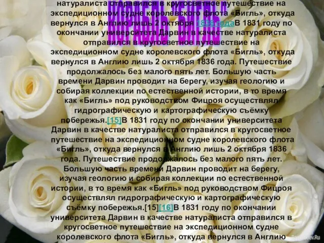 Основная статья: Кругосветное путешествие Чарльза Дарвина В 1831 годуВ 1831 году по