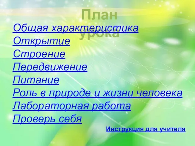 План урока Общая характеристика Открытие Строение Передвижение Питание Роль в природе и